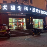 邵阳宠物医院在哪里?