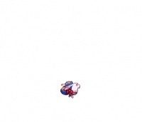 dnf兔战士宠物