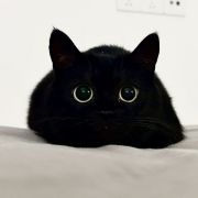 //@节操熊熊熊熊熊...