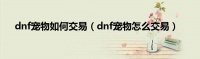 dnf宠物如何交易（dnf宠物怎么交易）