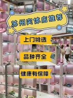苏州买宠物猫狗哪里便宜？这里安全可靠，更能实体店挑选宠物！