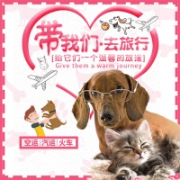宠物托运）固原靠谱的宠物托运汽车托运