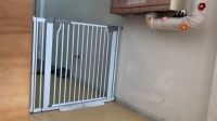 宠物跑出诊所遇车祸，谁之过？