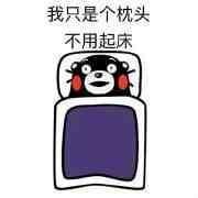 口袋妖怪小百科：宝可梦很能睡