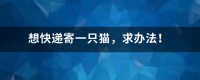 想快递寄一只猫，求方法！