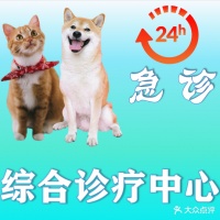谛宠宠物校医·犬猫全科·中兽医·骨科 上海谛宠宠物校医·犬猫全科·中兽医·骨科地址 谛宠宠物校医·犬猫全科·中兽医·骨科电话