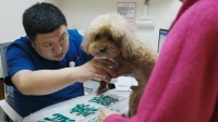 瑞派宠物医生：专攻“硬骨头”，妙手焕活“自由奔跑”骨科方案