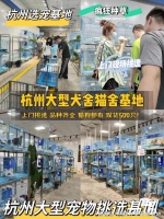 杭州哪里可以买宠物猫狗？这里信誉可靠，还能实地观赏挑选宠物！