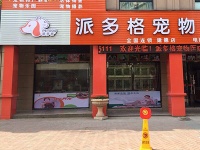 如何选择一个好的宠物店加盟品牌