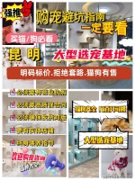 昆明拉布拉多犬哪家宠物店口碑好？昆明这家宠物店良心推荐，信誉高