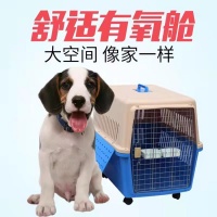 宠物托运）丰台宠物托运邮寄宠物活体运输