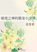 《暗夜之神的猫宠小少爷》舍昔者
