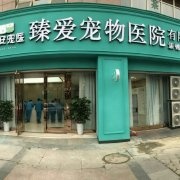 这里是 臻爱宠物医院...