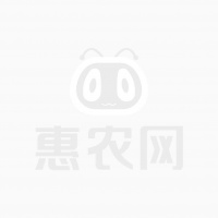 养鸭子当宠物