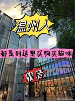 温州金毛犬哪家宠物店口碑好？温州这家宠物店良心推荐，信誉高