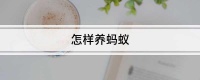 怎样养蚂蚁
