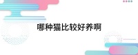 哪种猫比较好养啊