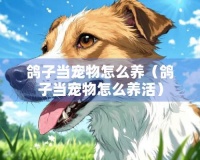 鸽子当宠物怎么养（鸽子当宠物怎么养活）