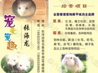 宠物的名片图片平面广告素材免费下载(图片编号:284545)