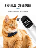 养宠物当然不能少了这些好物