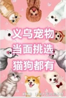 义乌哪里正规犬舍猫舍基地？大型宠物市场欢迎您