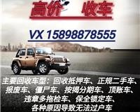 梧州宠物托公司宠物托运价格空运火车专车