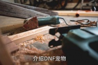 dnf宠物交易,DNF宠物买卖