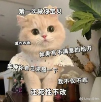 傲娇猫咪蛮横无礼，被称“全世界最坏的猫”，却依然备受宠爱