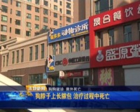 燕郊核心区，附近有宠物医院吗？