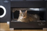 克罗地亚首个宠物家具品牌亮相