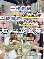 无锡哪家宠物店有卖拉布拉多犬？无锡这家宠物店买拉布拉多犬选择性多