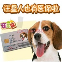 惠州宠物市场：了解市场趋势和宠物养护知识？惠州宠物市场排行榜