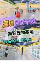深圳宠物猫狗哪里买靠谱?包你安心能当面挑选自己心仪的宠物