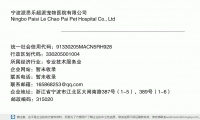 宁波派思乐超派宠物医院有限公司 (浙江省宁波市江北区大闸南路387号（1