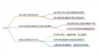 被家养的小猫咬破皮后会不会有事