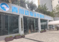 青川猎犬添“医疗后盾”！岛歌宠物诊所获授定点医院 四川新闻频道