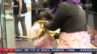 “撸蛇”成了新潮流 爬宠店销量火爆