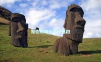 宠物蛇窜出罐子逃跑