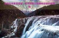 宠物托运费用明细：苏州至四川的宠物运输价格指南