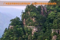 广州至昆明宠物空运费用指南：全面解析宠物快递运输成本