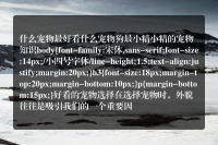 什么宠物最好看什么宠物狗最小精小精的