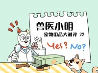 没啥猫是一根棒子解决不了的，测评三款逗猫棒，选择适合的是关键
