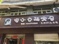 【宠爱天翩宠物店】宠爱天翩宠物店电话，宠爱天翩宠物店地址