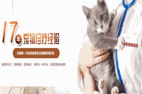 康美宠物医院加盟
