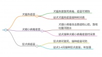 狗狗必打的三针疫苗有哪些呢