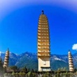 狗狗可以空运么？