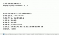 北京京宏宠物医院有限公司 (北京市大兴区西红门镇西红门路绿林苑20栋9