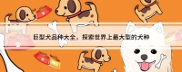 巨型犬品种大全，探索世界上最大型的犬种