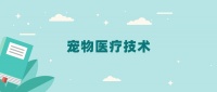 全国宠物医疗技术专业2024录取分数线（2025考生参考）