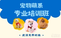 武汉宠物萌系专业培训班